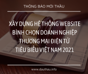doanh nghiep TMDT