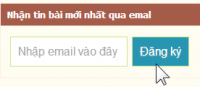 Block đăng ký nhận tin qua email‏