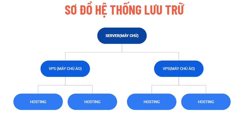 Domain là gì Hosting & Server gì 1