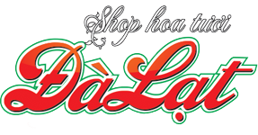 Shop hoa Cần Thơ, Điện hoa, Hoa tươi , Quà tặng